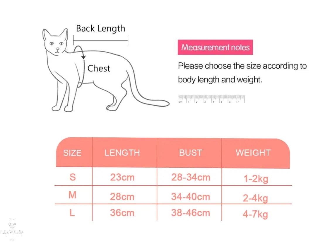 Female Cat Surgical Recovery with Adjustable Neck Illawarra Cat Rescue Support Shop