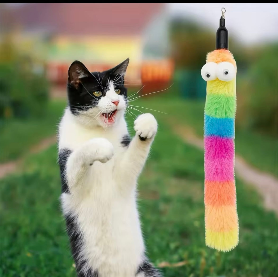 Cat Toy Wand with 8 Toy Attachments - Illawarra Cat Rescue Support Shop