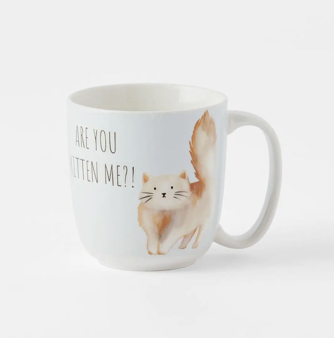 Are You Kitten Me Mug - MORGAN & FINCH - Illawarra Cat Rescue Support Shop