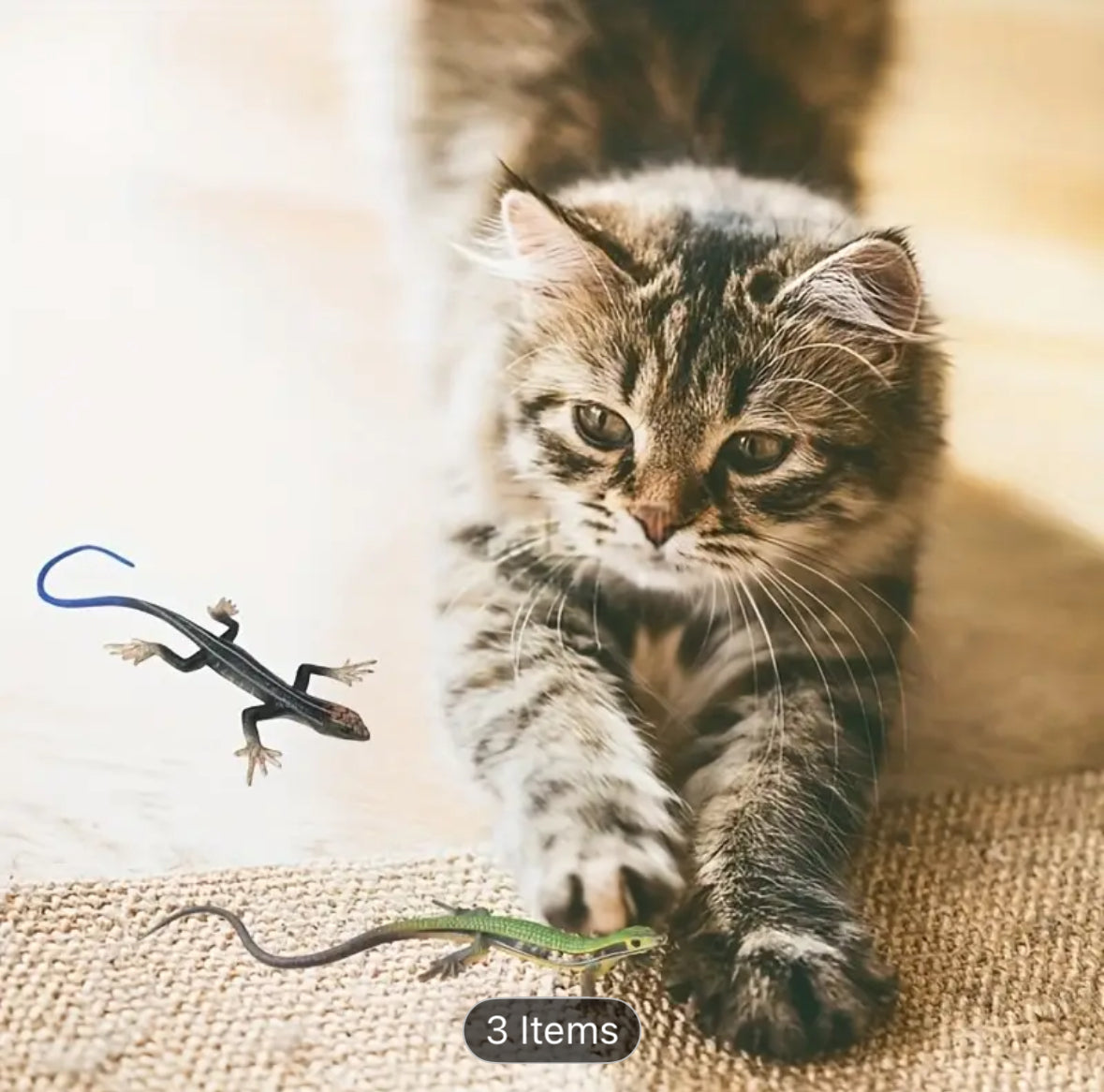 Cat Toy Lizzards