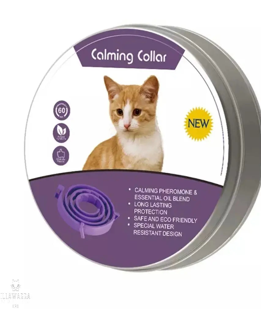 Cat Calming Collar Illawarra Cat Rescue Support