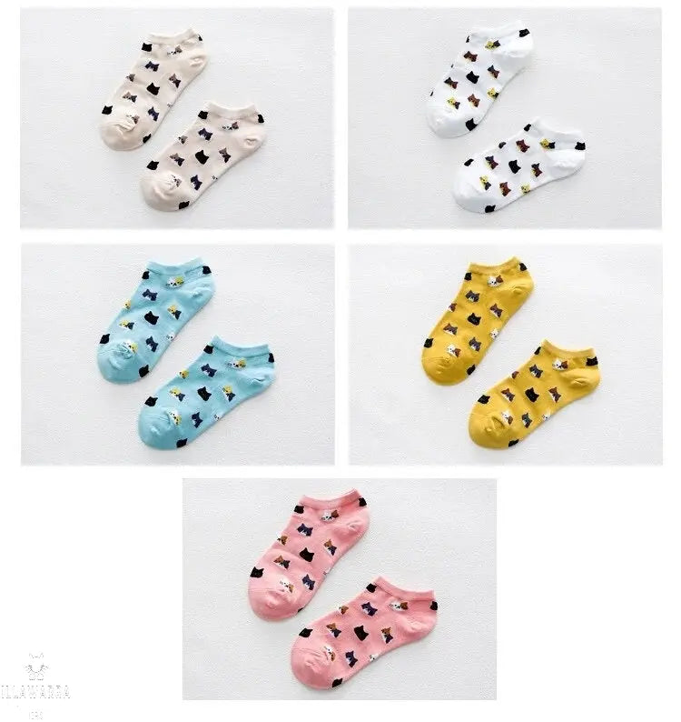 Cat Themed Socks Aus (Size 6-9) Stretch Illawarra Cat Rescue Support Shop