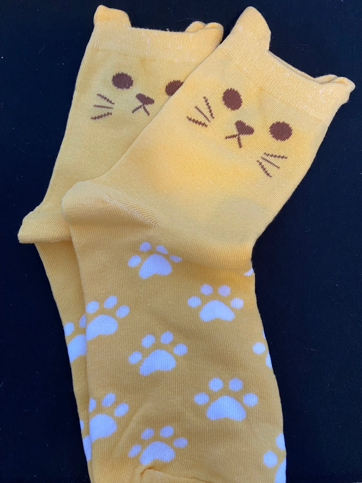 Cat Themed Socks Aus (Size 6-9) Stretch Illawarra Cat Rescue Support Shop