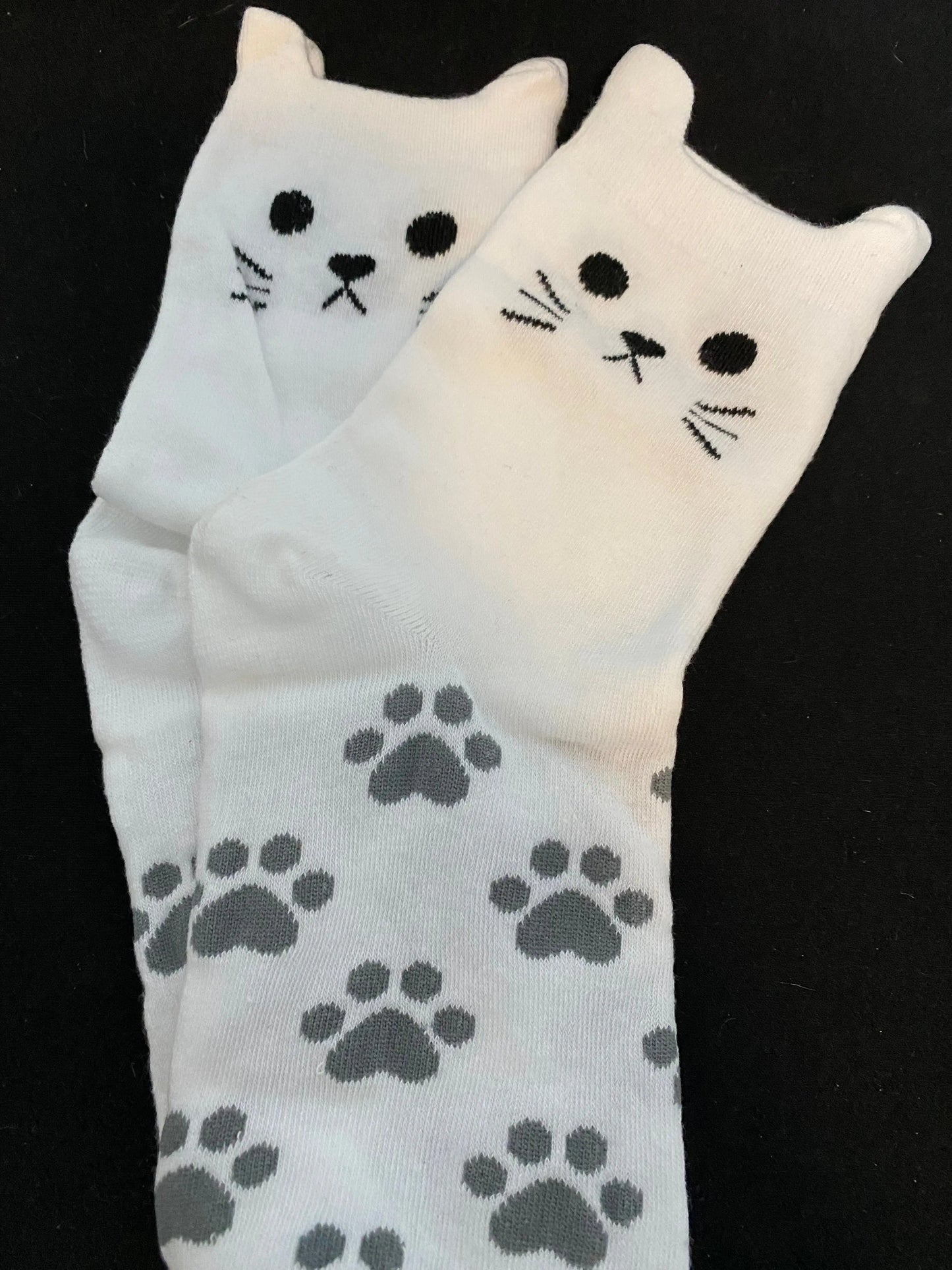 Cat Themed Socks Aus (Size 6-9) Stretch Illawarra Cat Rescue Support Shop