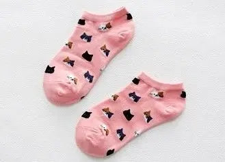 Cat Themed Socks Aus (Size 6-9) Stretch Illawarra Cat Rescue Support Shop