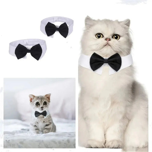 Cat Tuxedo Collar with Bow Tie Illawarra Cat Rescue Support