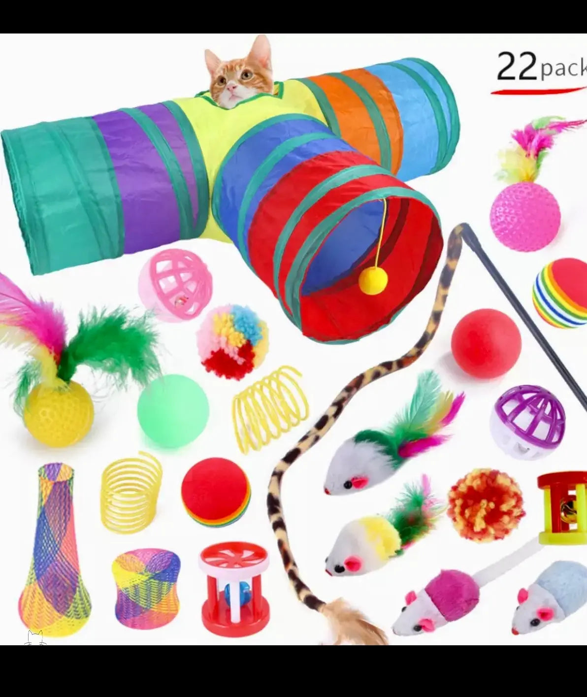 Cat and Kitten Toy Pack - 22 Piece Set Illawarra Cat Rescue Support Shop