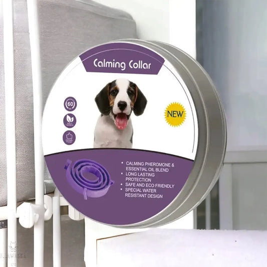 Dog Calming Collar Illawarra Cat Rescue Support