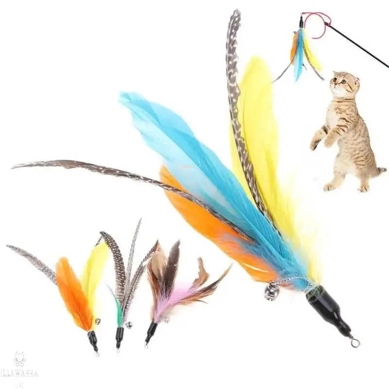 Feather Toy with Bell Illawarra Cat Rescue Support