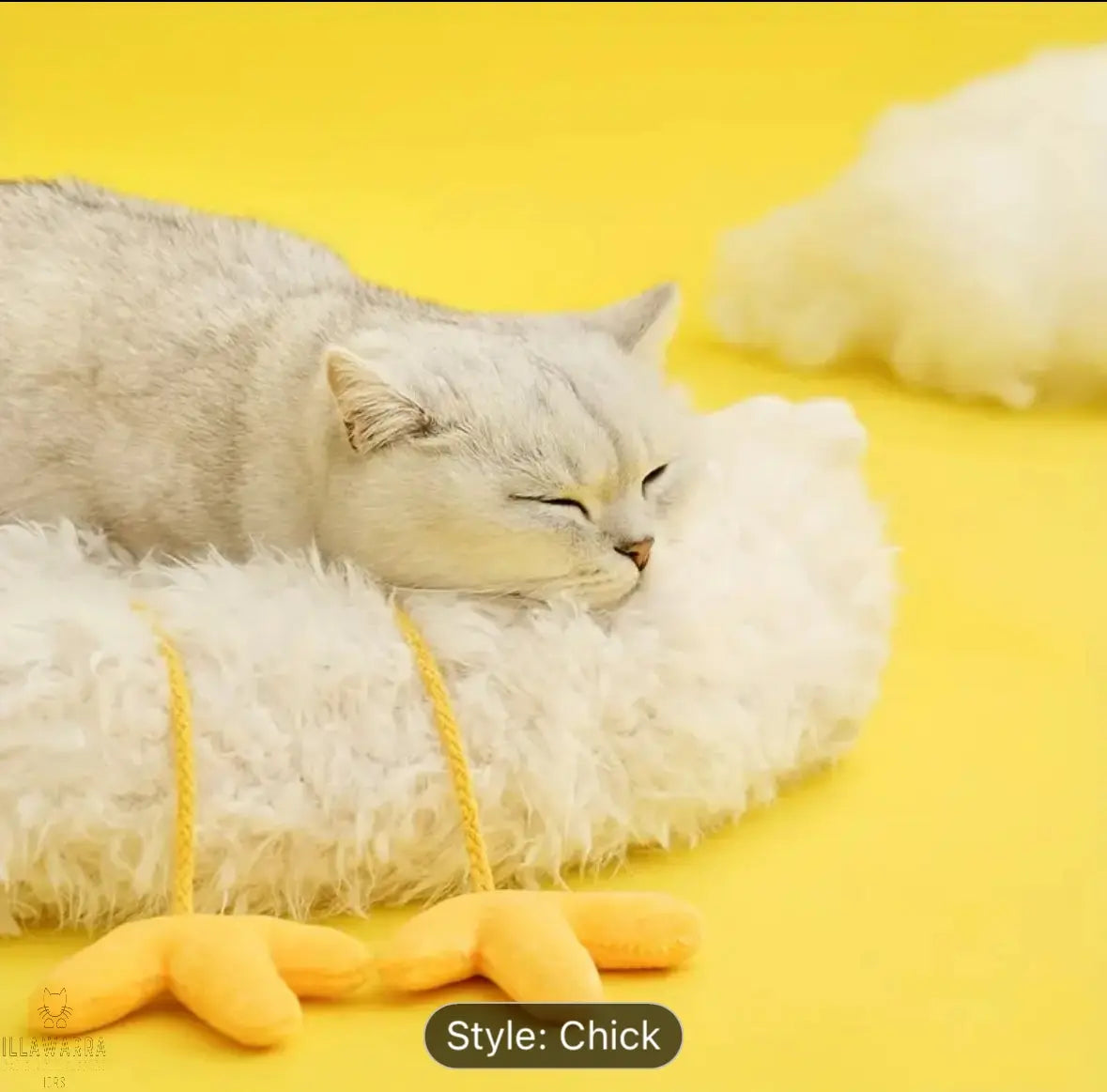 Flat Fluffy Chicken Bed Illawarra Cat Rescue Support Shop