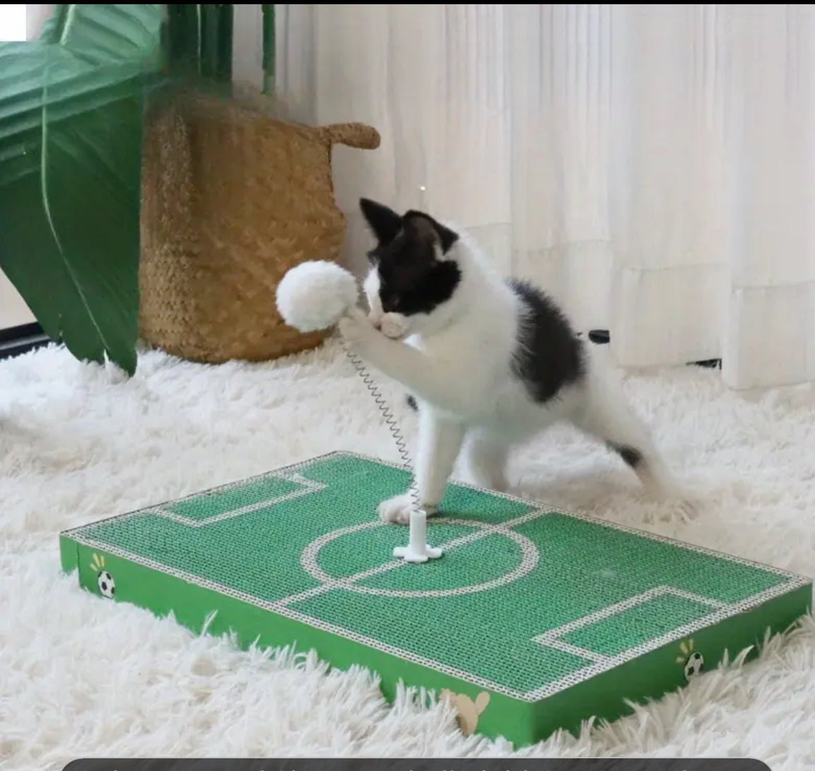 Cat Scratcher - Soccer Football Theme