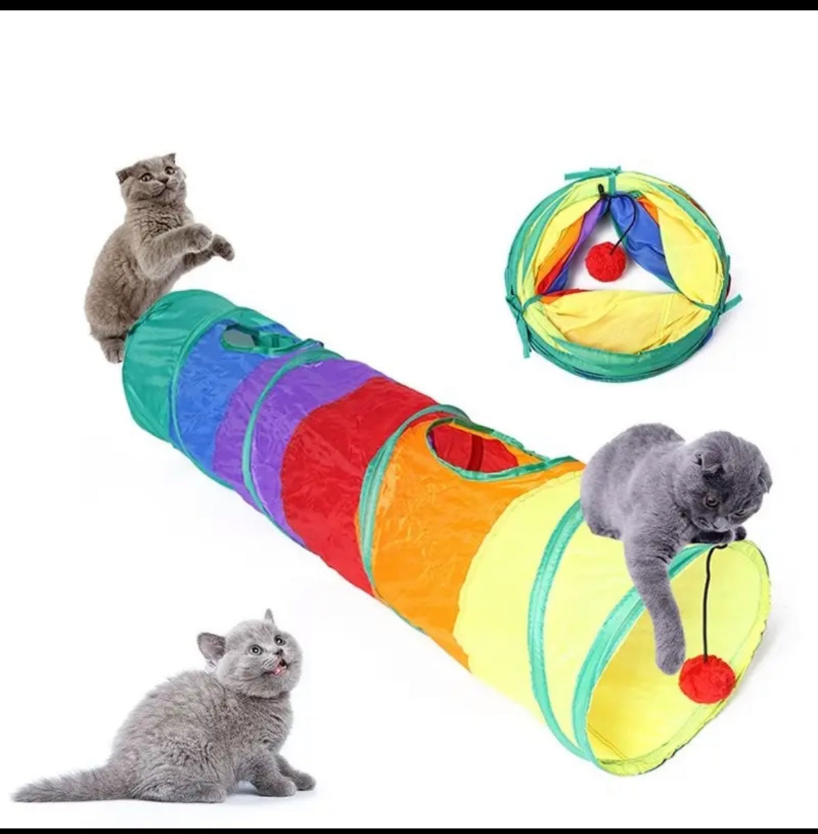 Cat Tunnel