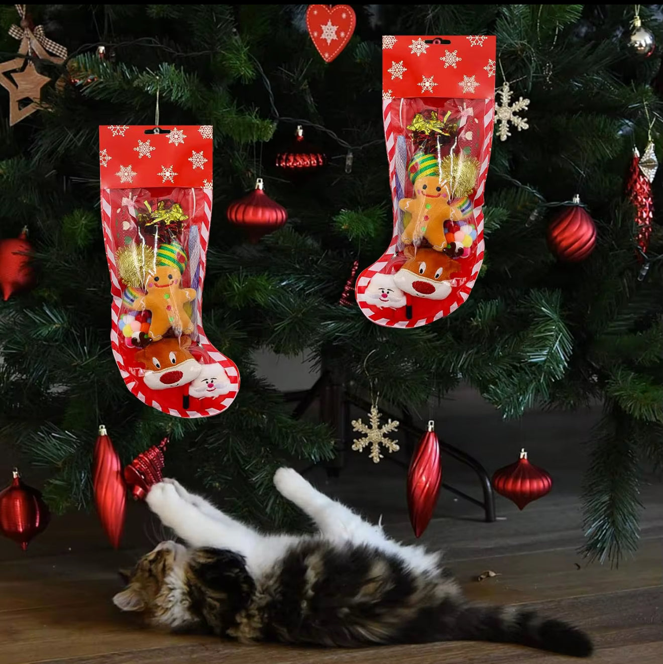 Santa Cat Christmas Stocking