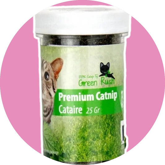 All For Paws Green Rush Premium Catnip