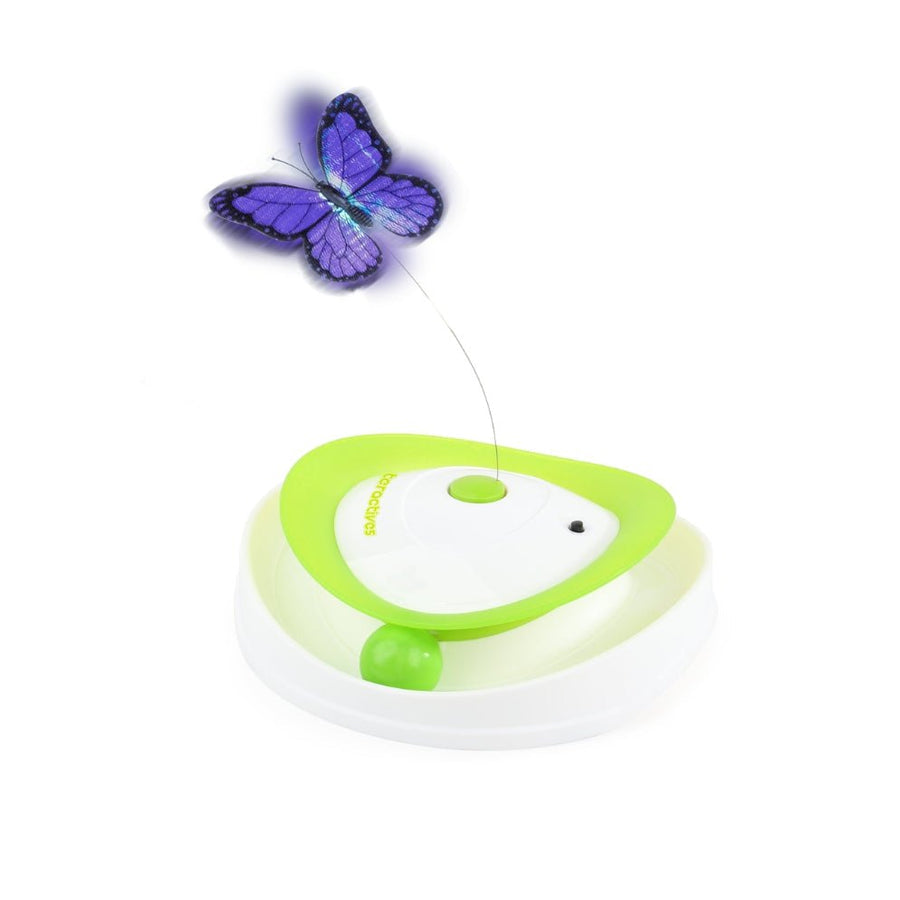 All For Paws Interactives Roll Around Flutter Bug