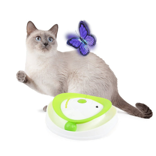 All For Paws Interactives Roll Around Flutter Bug