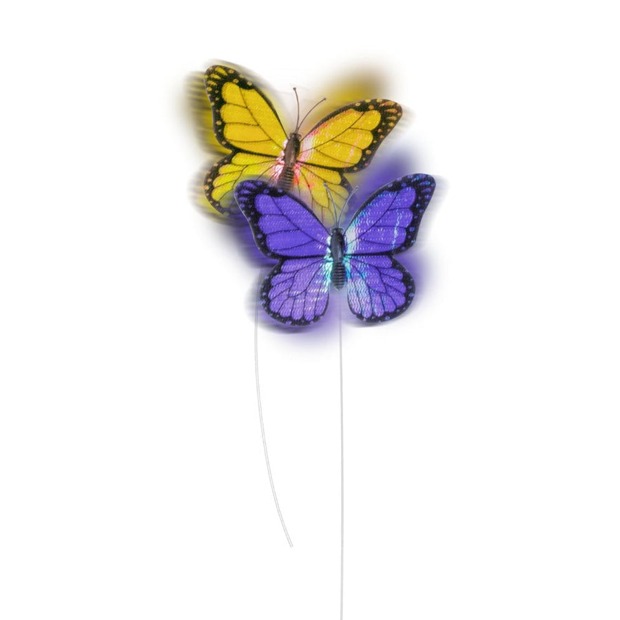 All For Paws Interactives Roll Around Flutter Bug