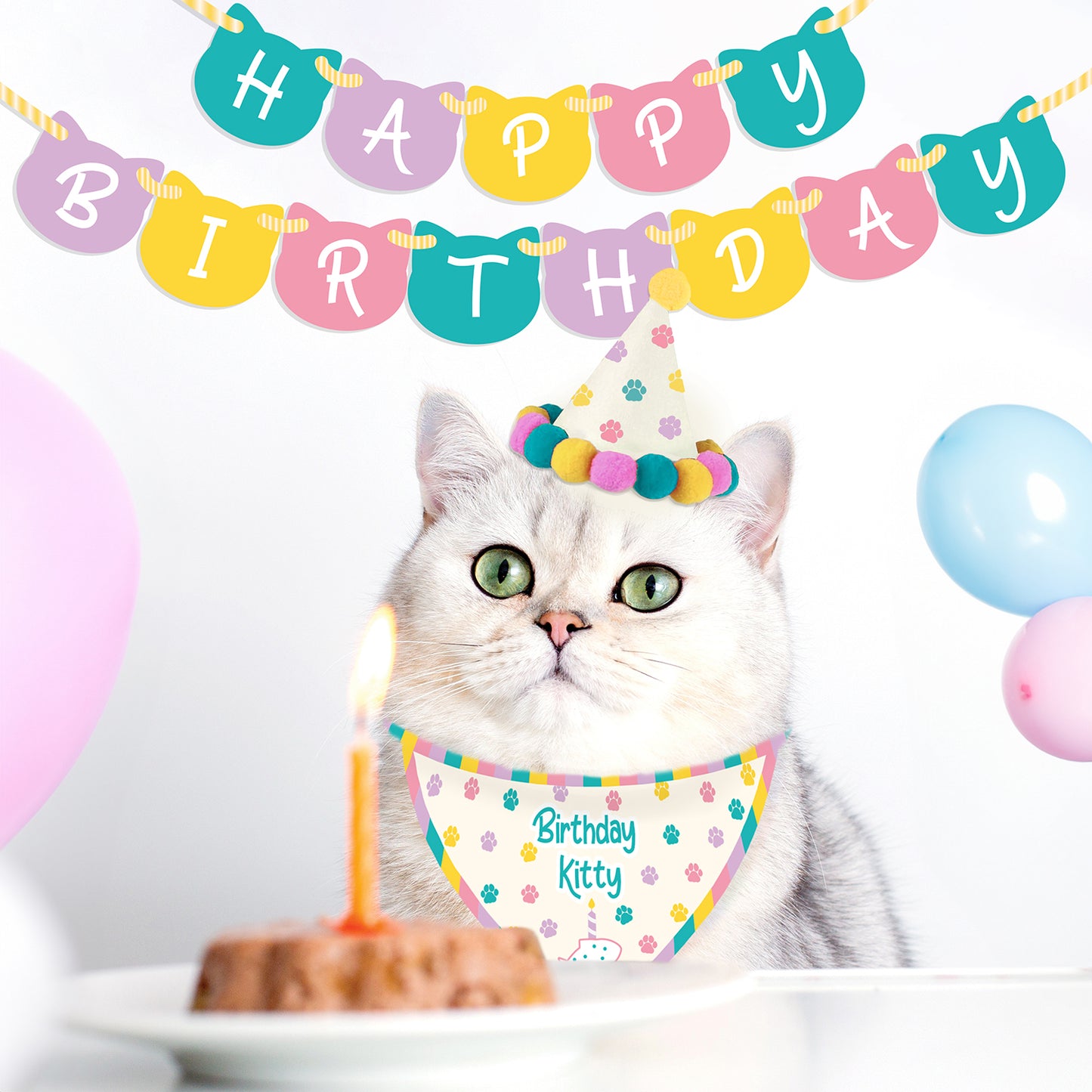 Birthday Kitty – Cat Birthday Kit