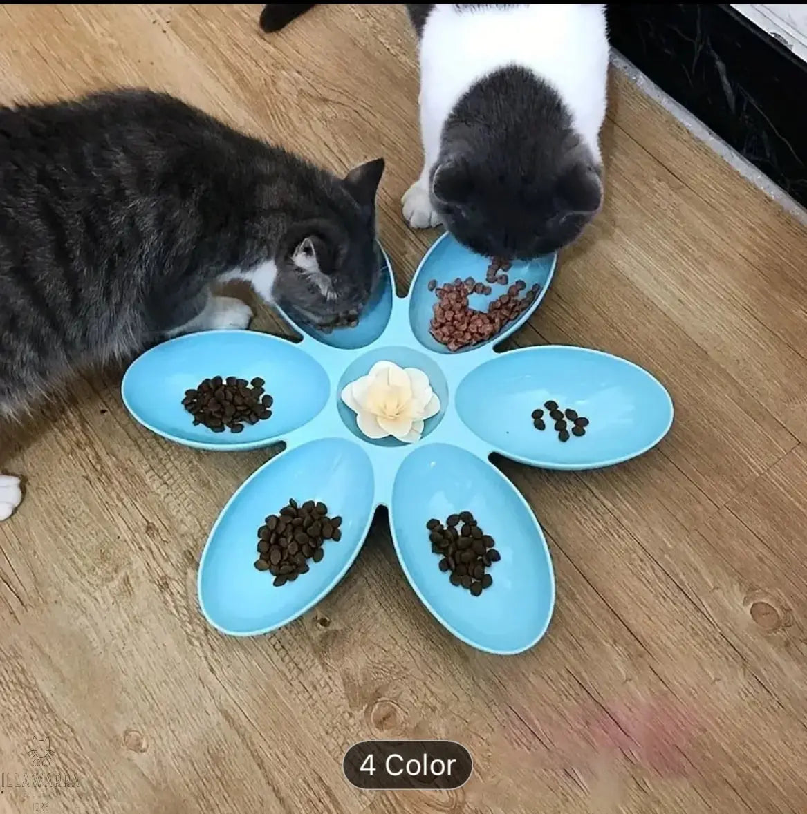 Petal Shaped Cat Food Bowl Illawarra Cat Rescue Support Shop