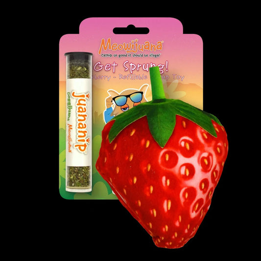 REDUCED - Get Sprung Catnip Refillable Strawberry Cat Toy Meowijuana