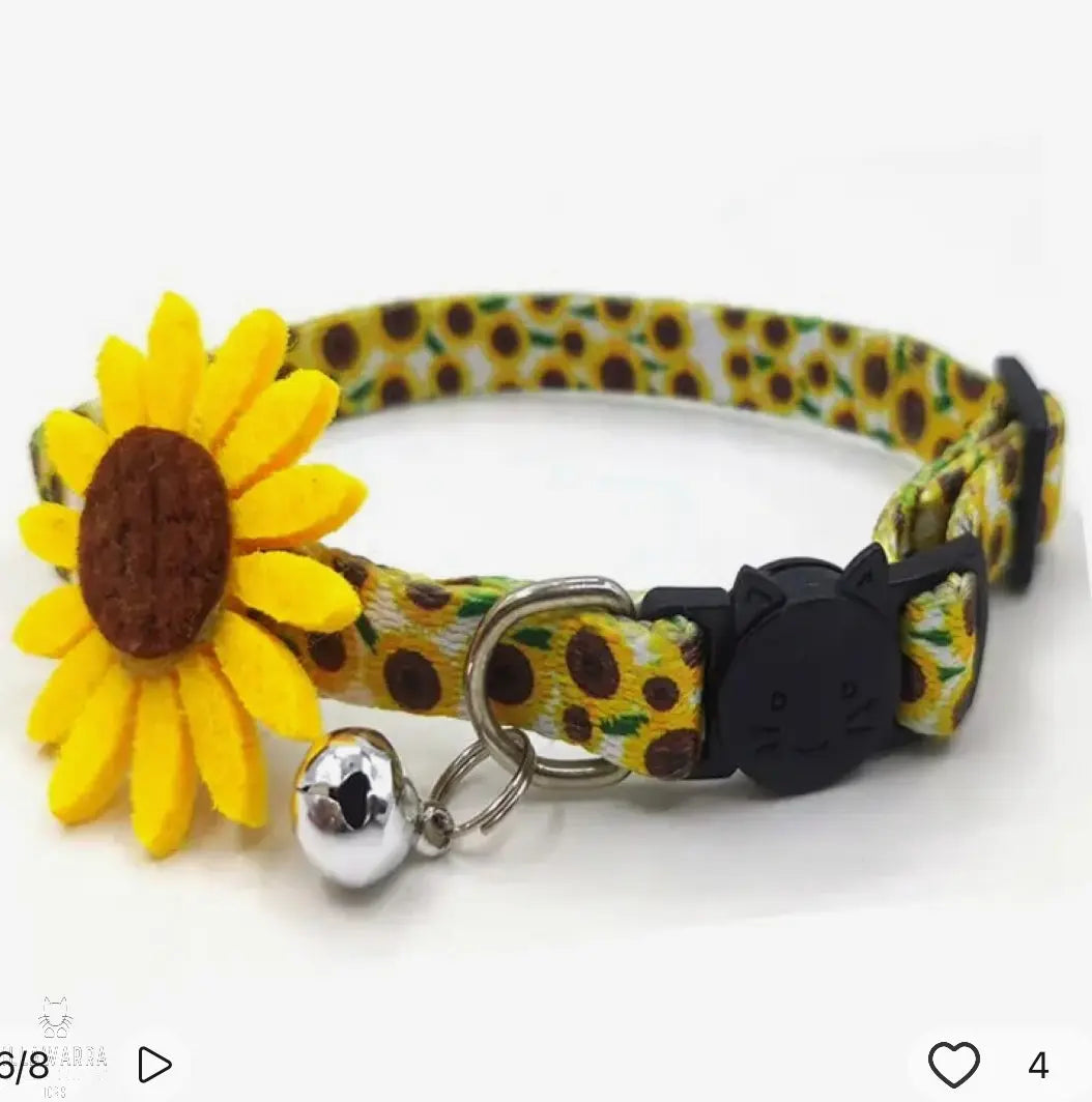 Sunflower Cat Collar Illawarra Cat Rescue Support