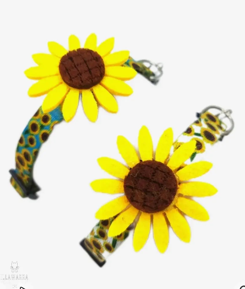 Sunflower Cat Collar Illawarra Cat Rescue Support